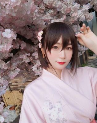 芈月传电视剧81集免费高清观看_1080P手机免费观看完整