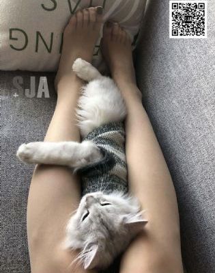 欧美变态口味重另类_DVD在线观看高清