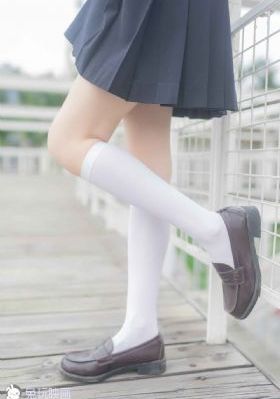 神犬小七第二季免费观看完整版_蓝光高清视频播放