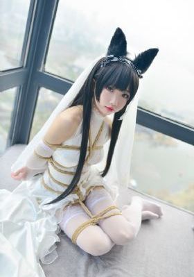 吞噬星空免费观看樱花动漫_蓝光免费观看视频